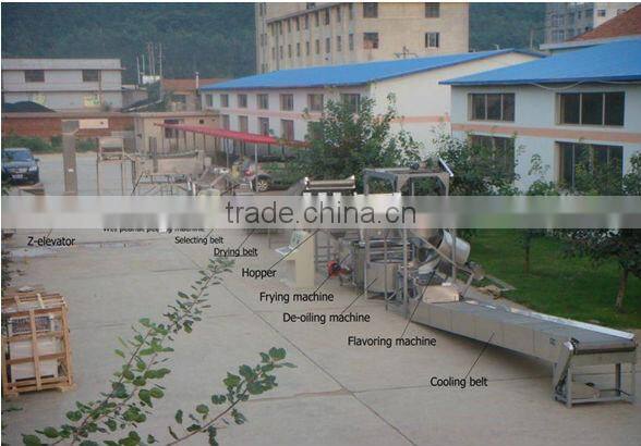 industrial peanut frying production line