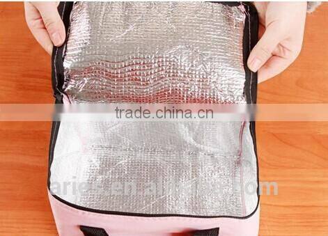 Funny Human Organ Transplant Lunch Bag Cooler, holds 6 pack Ex.Cond.Medical gift