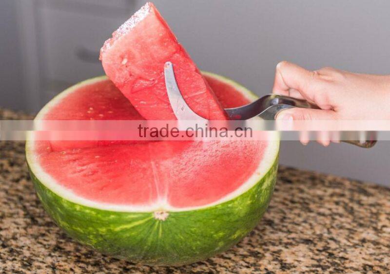 High quality through FDA/LFGB/SGS stainless steel watermelon slicer