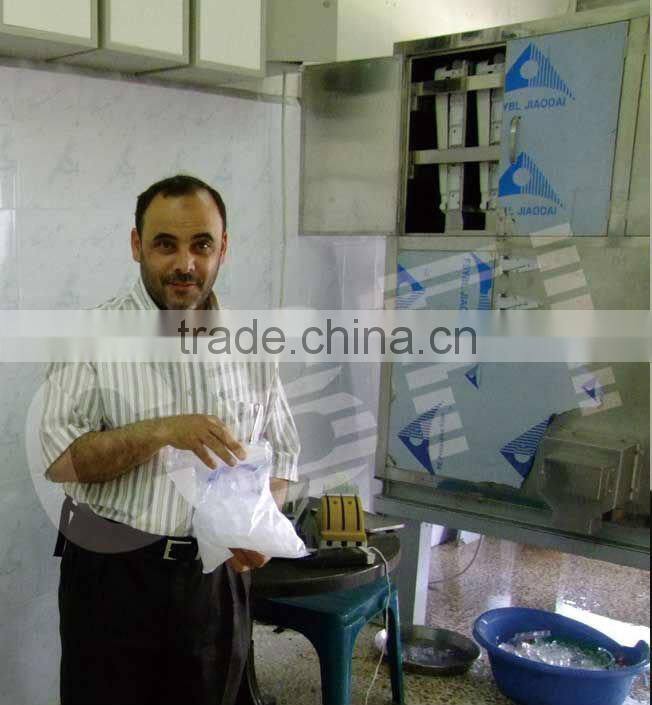 Latest Technology Ice Cube Making Machine with Packing System
