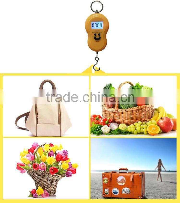 Easy Reading LCD Display Portable Travel Scales