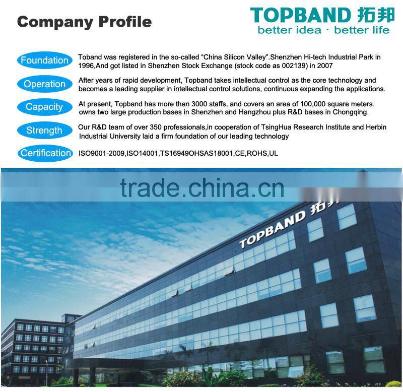 TOPBAND 12Ah Prismatic LiFePO4 Cell