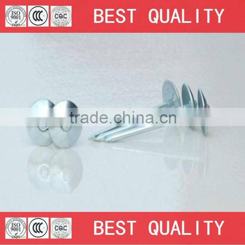 export africa Ghana Umbrella roofing nails