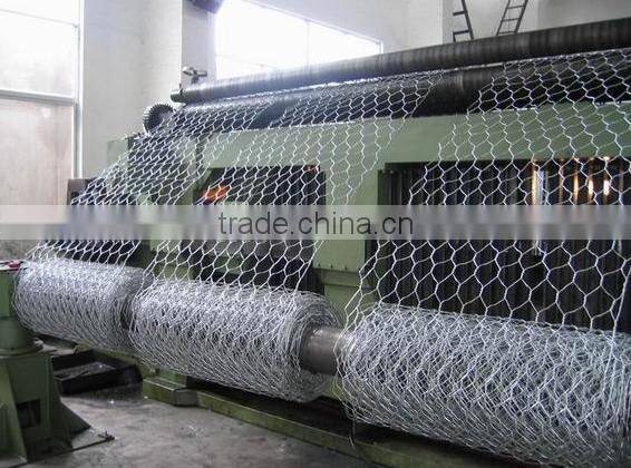 Electro hexagonal wire netting