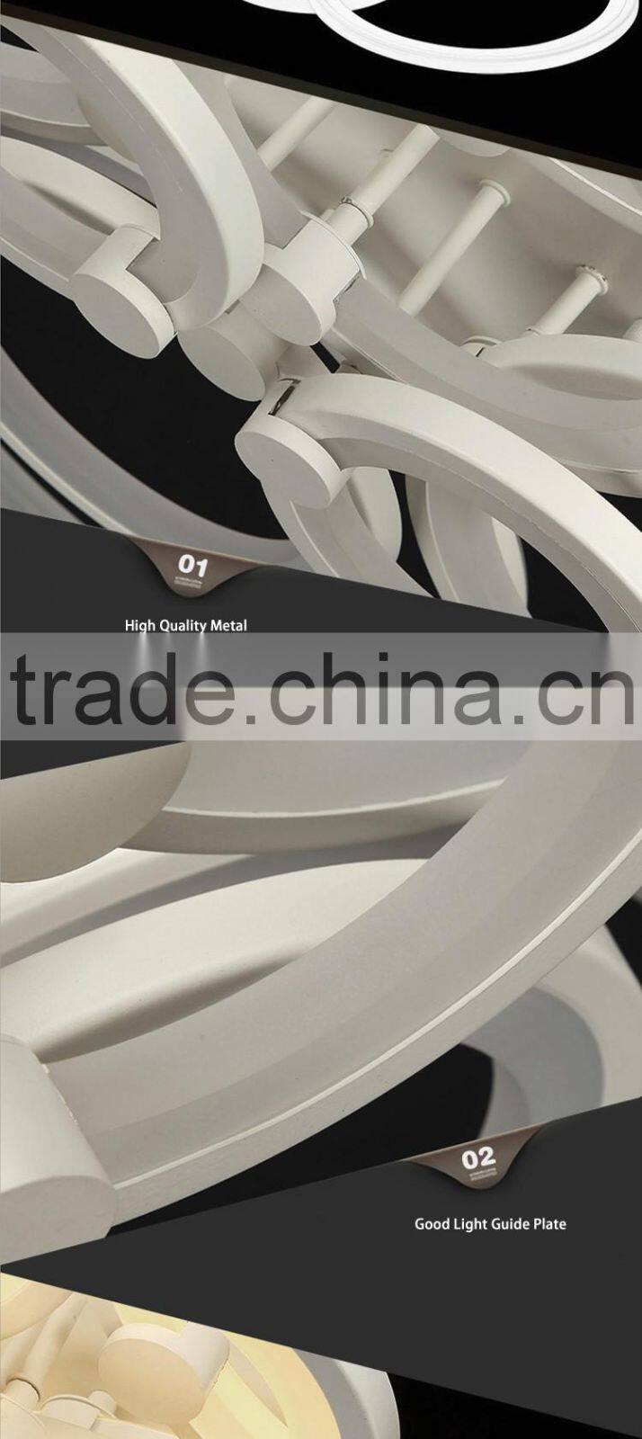 Hot Selling 100W Modern Ceiling Lights Stainless Steel 220V Simple Ceiling Lamps