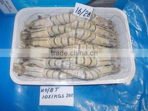 FROZEN HEAD ON BLACK TIGER SHRIMPS