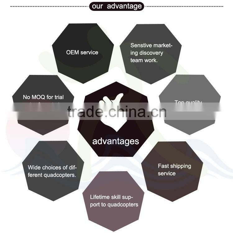 fly to the sky!!! 360 degree roll electric rc quadcopte outdoorr remote control quadcopter