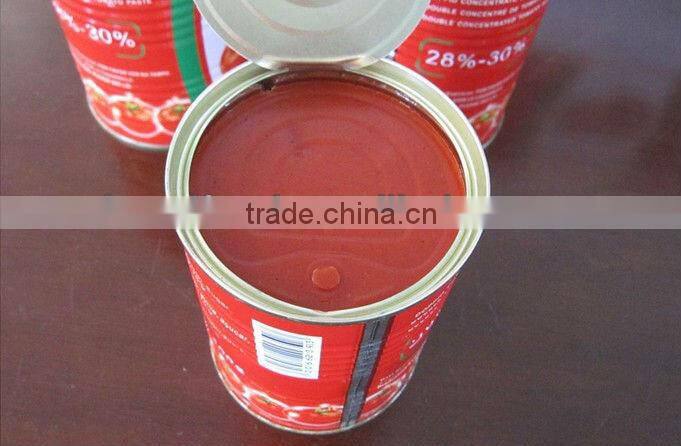 Tomato sauce Ketchup