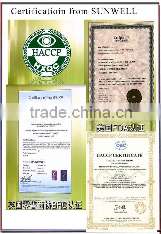 Low Temperture Vacuum Fried Vegetable and Fruits Snacks(veggie chips )