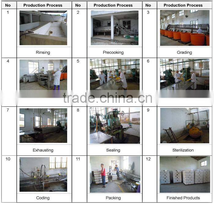 sellers for oyster mushrooms