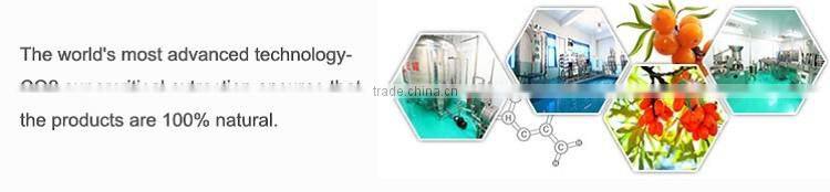 Cans of factory direct sale Seabuckthorn fruit juice