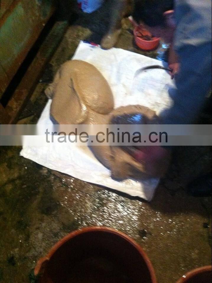 Supply Natural Eel Feed Powder in Bulk