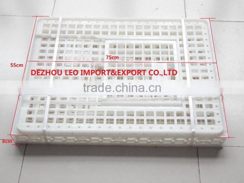 foldable plastic crate for chicken for sale