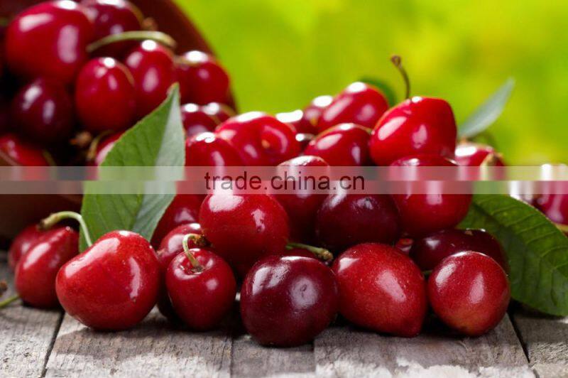 Cherry Multiple layer continuous type mesh belt dryer