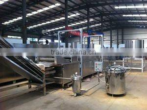 LX-II continous automatic fryer-Jinan chenyang company