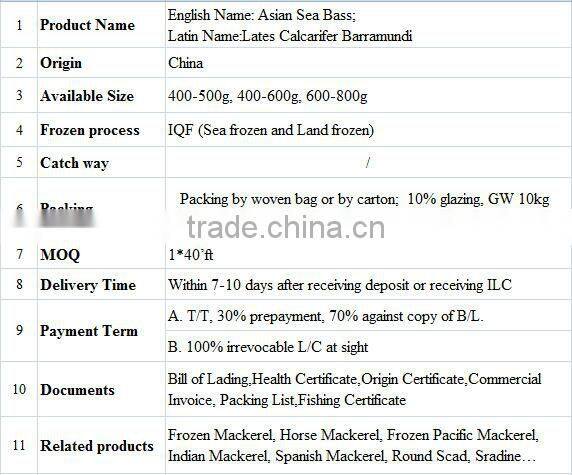 Asian Sea Bass Lates Calcarifer Barramundi