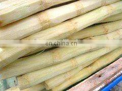 small machine sugarcane juice used