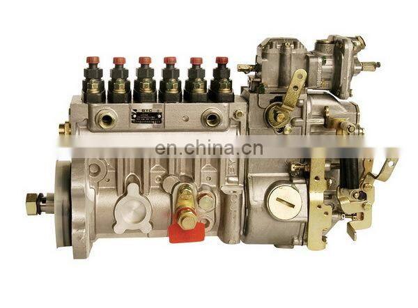 6CTA Engine Injection pump 10 403 646 084/10403646084,CPES6PB120D120RS3150 Pump