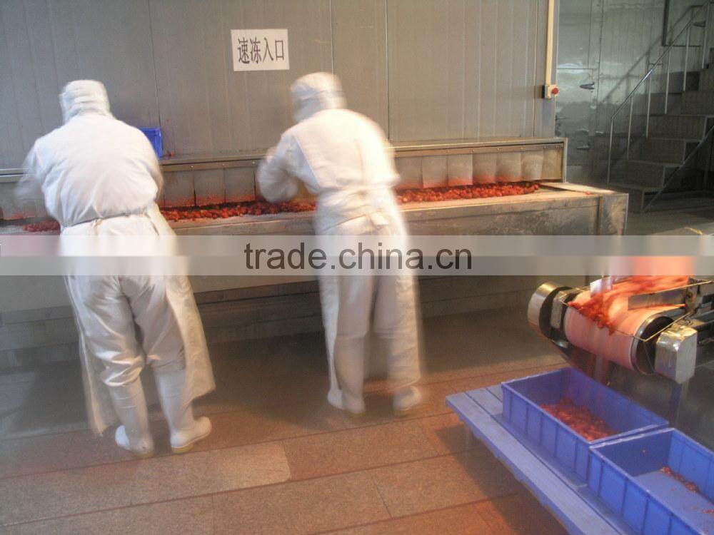 bulk frozen strawberry in package size