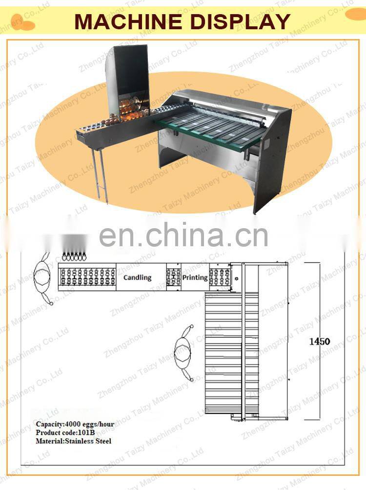 commercial chicken egg grading machine egg sorting grading machinery