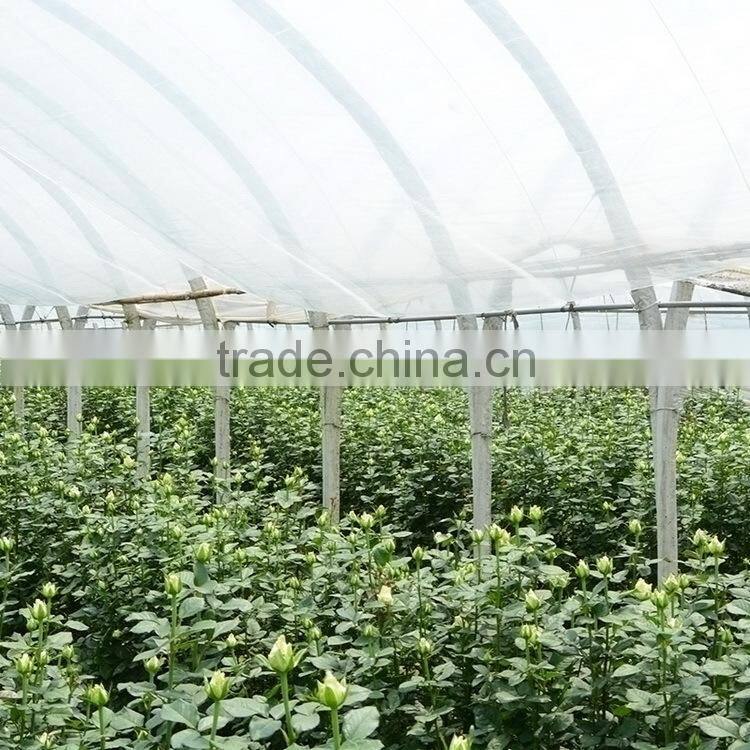 Alibaba china hot-sale cut fresh pink and violet cotton bakers twine