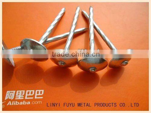 umbrella head roofing nail with twisted shank