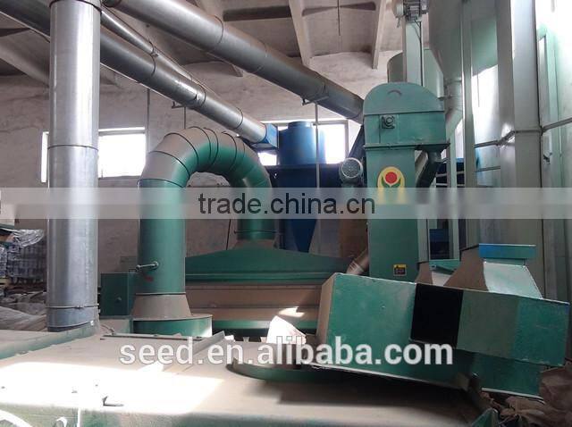 open pollinated leafy caraway seeds Big Leaf