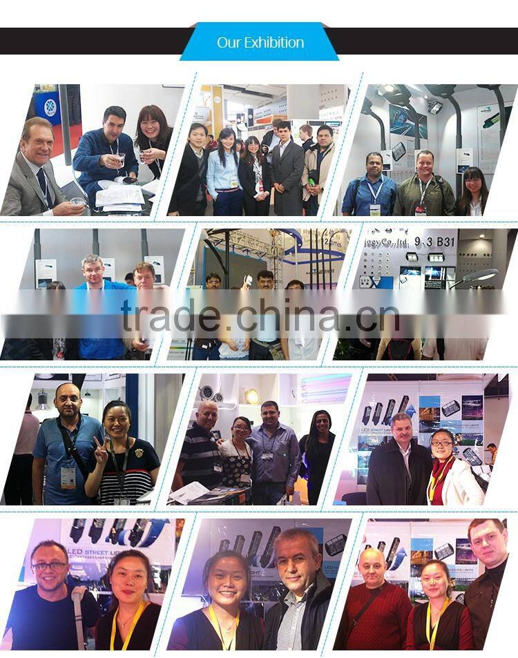 IP65 Stainless steel Solar lawn light for garden drcorative