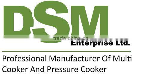 2015 New Arrival Electric Pressure Cooker with Multifunctions