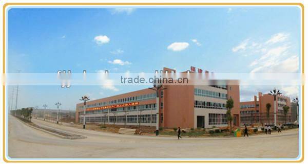 hot sale china new product p10 ful sex video panel display