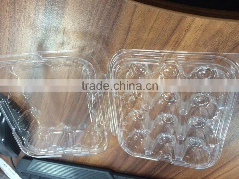 DB-520B Automatic Plastic Raising Seedling Tray Thermoforming Machine