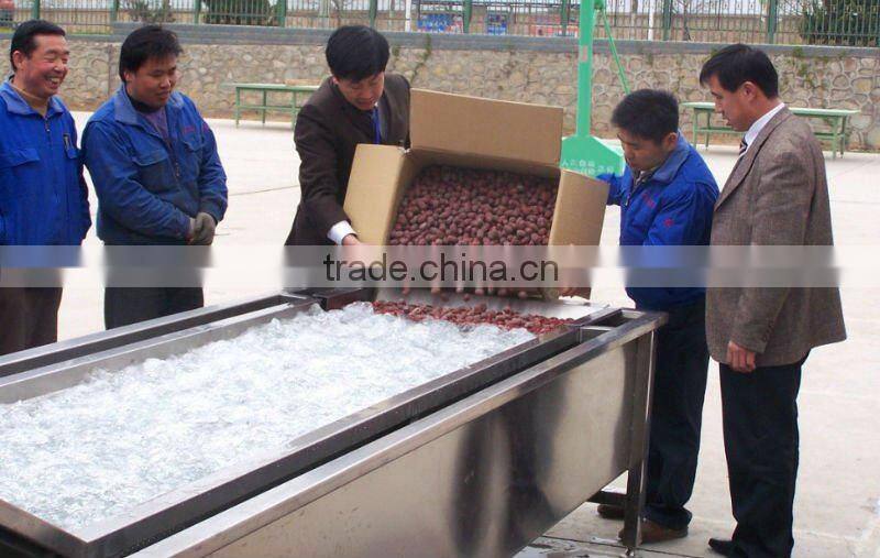 stainless steel washing machine,fruit washing machine,vegetable washing machine,food washer