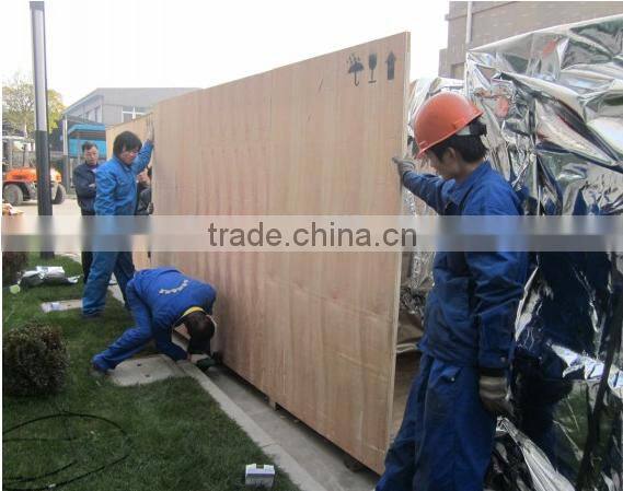 Vegetable potato chopper;cabbage/potato/onion/carrot/cucumber chopping machine