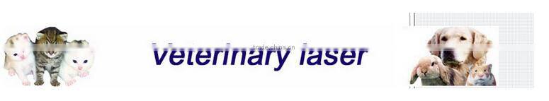 China veterinary surgical instrument exporters