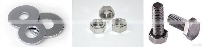 High purity molybdenum nuts hex internal thread screw