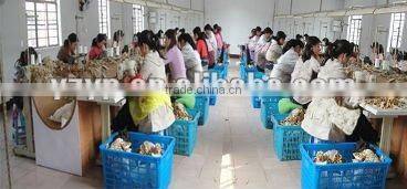 lovely stuffed pig toys