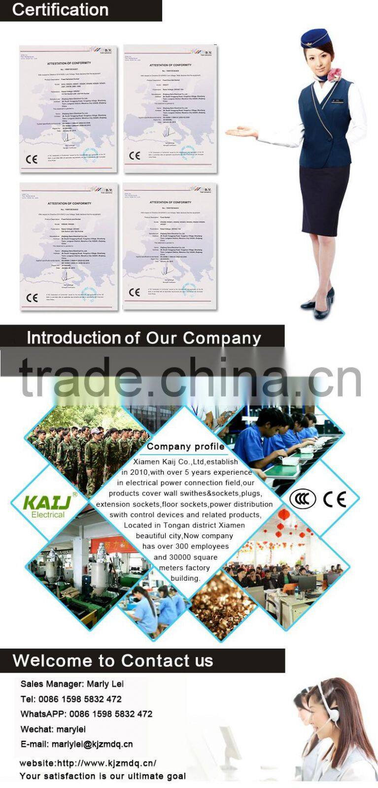 Wall mounted double 2 usb universal switch socket