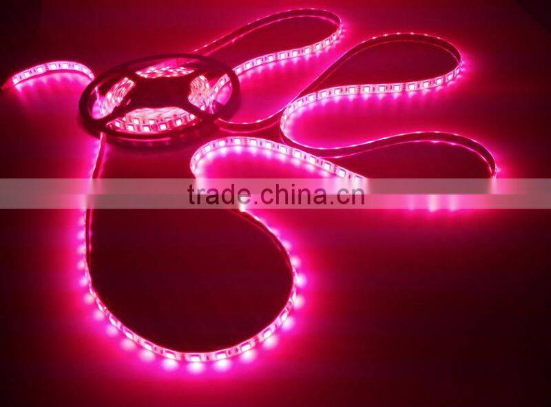 magic color chasing dream led strip