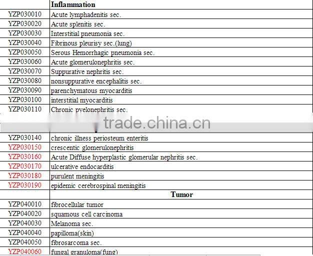 High quality medical animal pathological cancer prepared slides