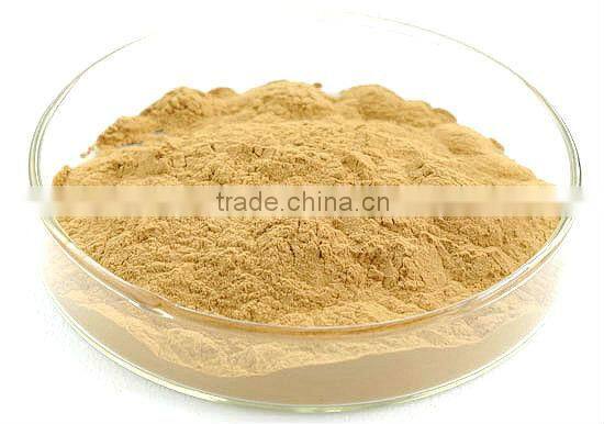 Ginkgo Extract