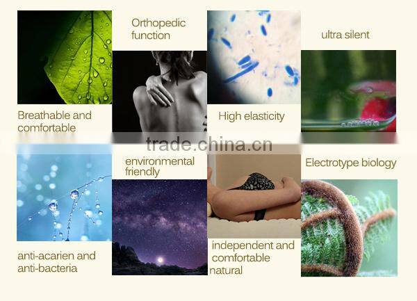 Environmental Anion Latex Mattress Core