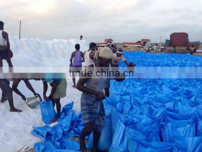 Excellent Quality of Cooking Sea Salt ( Iodized)