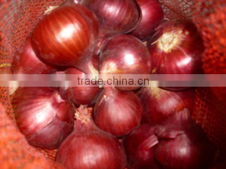Fresh (RED ,Yellow , White ) ONION
