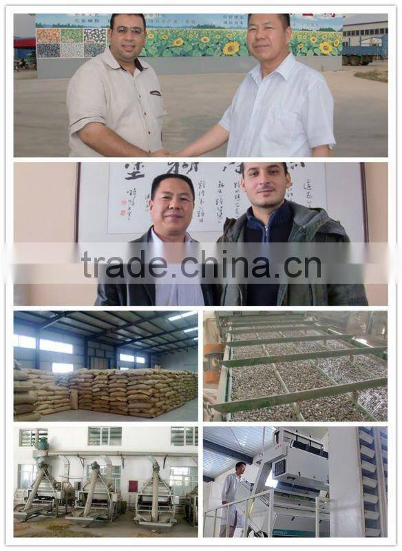 2014 Confectionary sunflower seed kernels