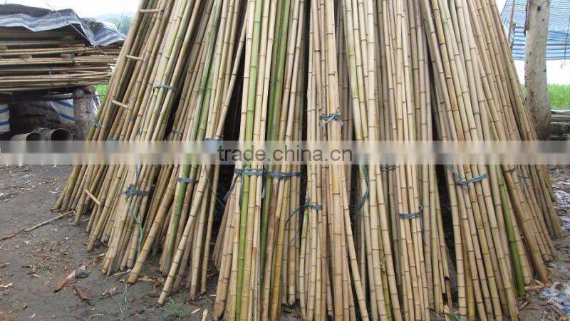 Diameter 6/8 mm up bamboo/ Vietnam Bamboo Pole