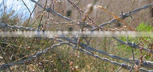 Security Wall Spikes