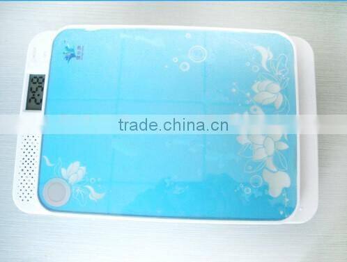 UV Ultraviolet Family Toothbrush Sanitizer Sterilizer Cleaner disinfector