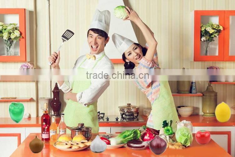 0600057 Kitchen garlic shape food storage container