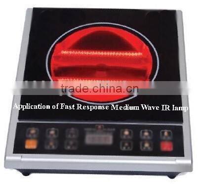 Heat lamp for oven with temperature control