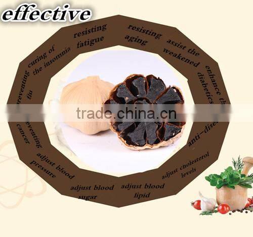 fermented garlic newest price--HC Company